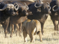 stacks_image_D133DCFA-1228-4619-9ABC-817A0036C8F8