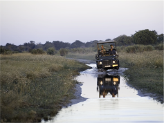 stacks_image_B5745590-57E3-4709-B84A-C0E86D2752DD