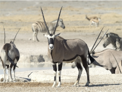 stacks_image_0F7FF38B-52B1-4EC2-B6D9-CA2F3A0878DA