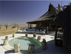 stacks_image_8F8D8E15-6B3A-461A-92E9-79AF45CE8FCC