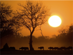 stacks_image_061CC76F-22A1-4EDD-8F0B-01F062EF2A83