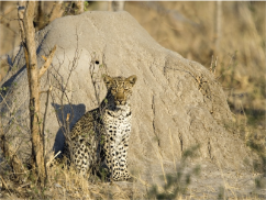 stacks_image_2D9E7D07-5910-42D0-86C9-A56B22D39129