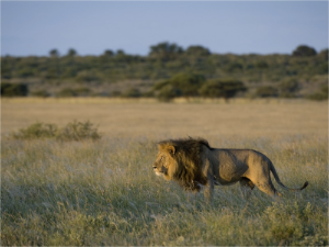 stacks_image_20431828-B408-4015-A0D0-A36A85DD8A3F