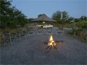 stacks_image_B854828C-DDCC-4BB1-B624-29A3D1F88023