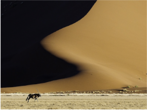 stacks_image_B49D1CDF-CA49-4056-9257-33969264E58A