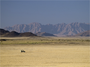 stacks_image_4BBA0CB0-1E96-4627-ADAF-28071270D2C6