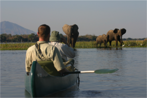 stacks_image_47494B73-1BC2-4247-825D-D91E2144DA3E